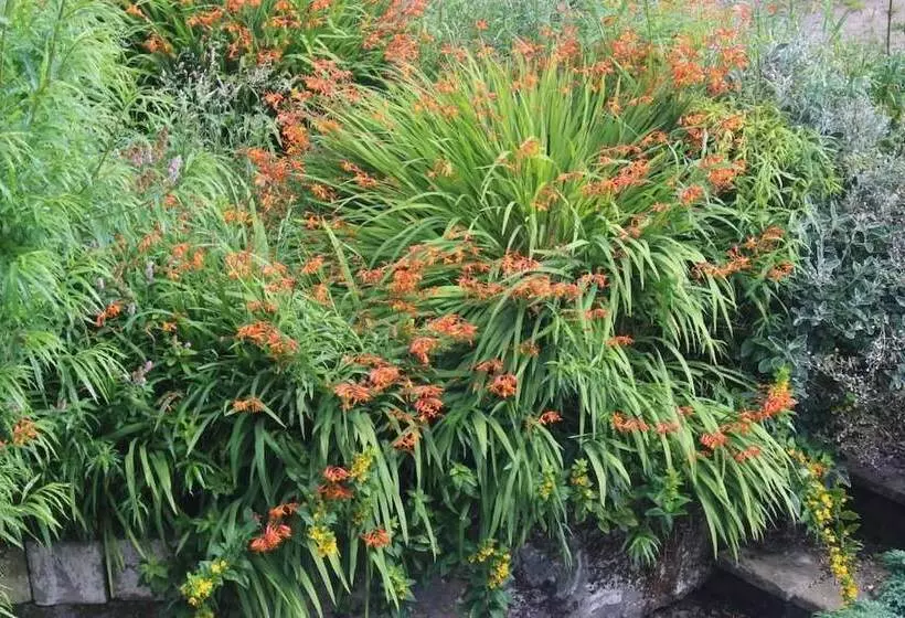 Aamiaismajoitus (B&B) Bryncoch