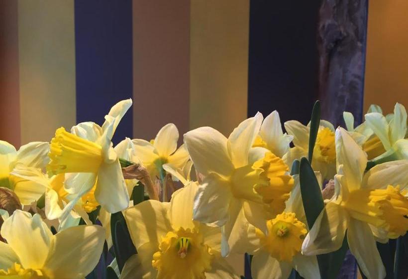 Boutique B&b Kamer01