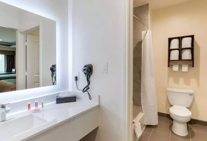 モーテル Econo Lodge Houston