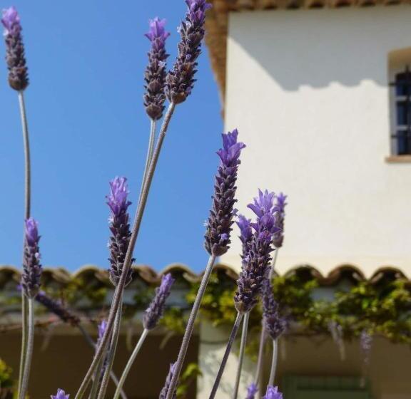 ペンション Azurea