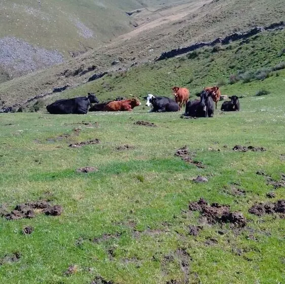 Casa Rural Costalisa