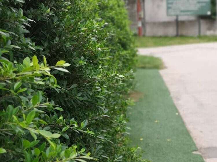 ホテル Aiya Resort Kohtao