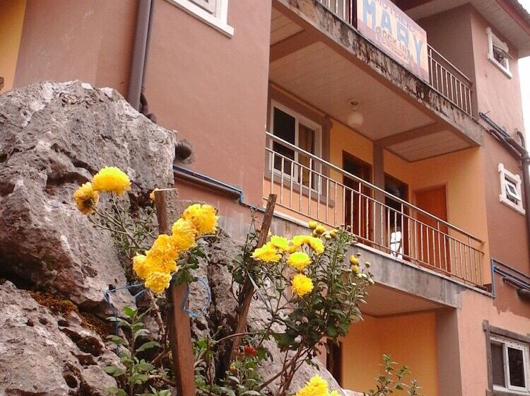 פנסיון Mother Mary Inn