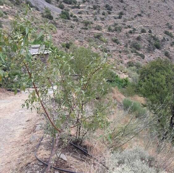 Refugio Arrabales De La Alpujarra Hostel