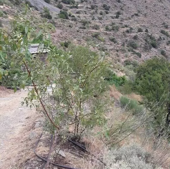 Refugio Arrabales De La Alpujarra   Hostel