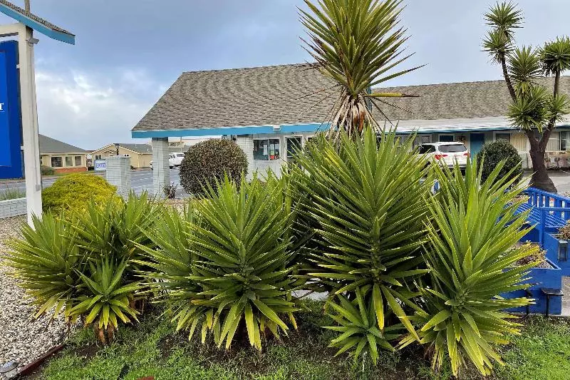 酒店 Baymont By Wyndham Fort Bragg