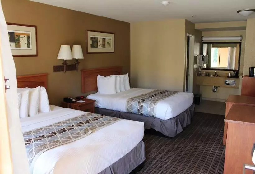 酒店 Cajon Pass Inn