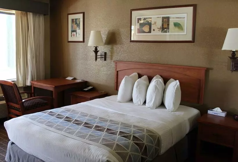 酒店 Cajon Pass Inn