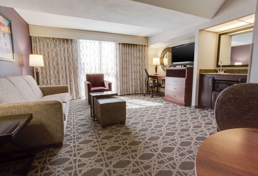 Drury Plaza Hotel San Antonio Airport