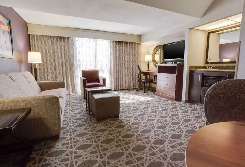 Drury Plaza Hotel San Antonio Airport