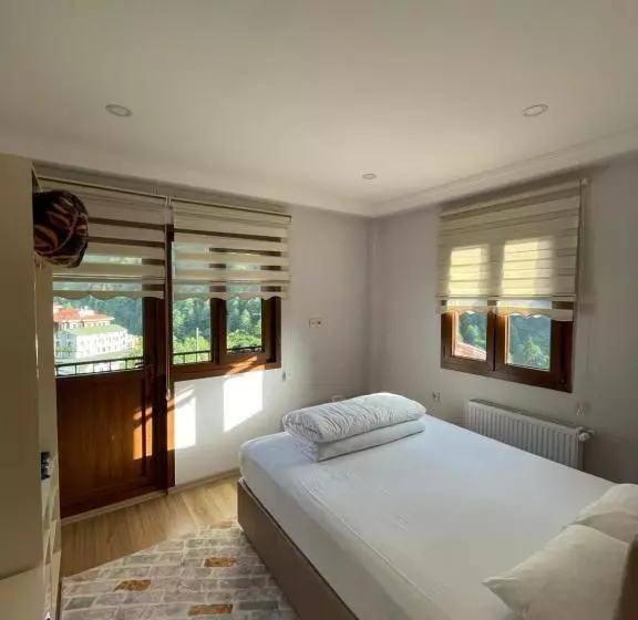 ホテル Ayder Köroğlu Apart