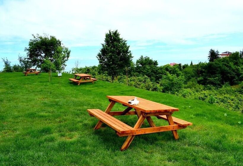 هتل Zahi Bungalov