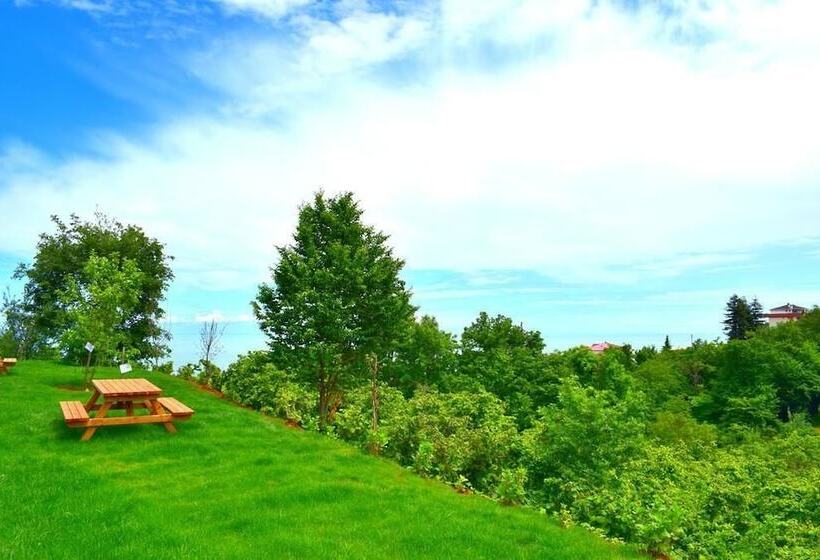 هتل Zahi Bungalov