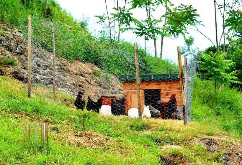 هتل Zahi Bungalov