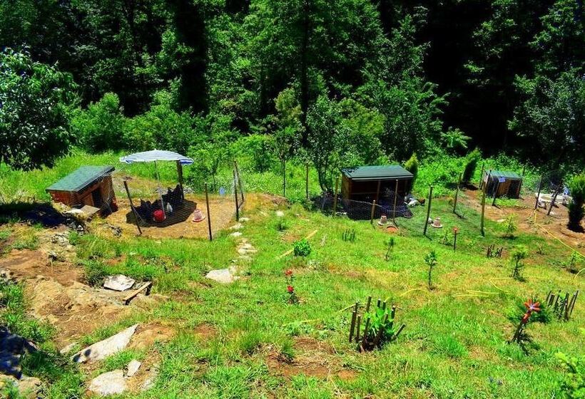 هتل Zahi Bungalov