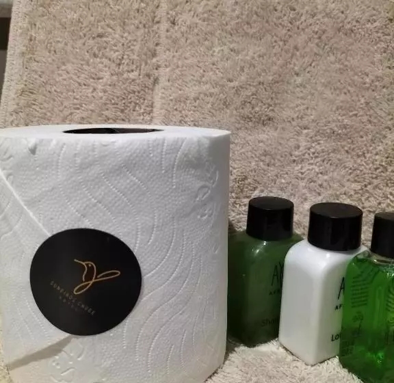 پانسیون Sunbirds Chobe