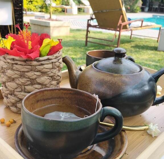 پانسیون Sunbirds Chobe