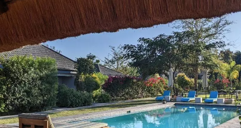 پانسیون Sunbirds Chobe