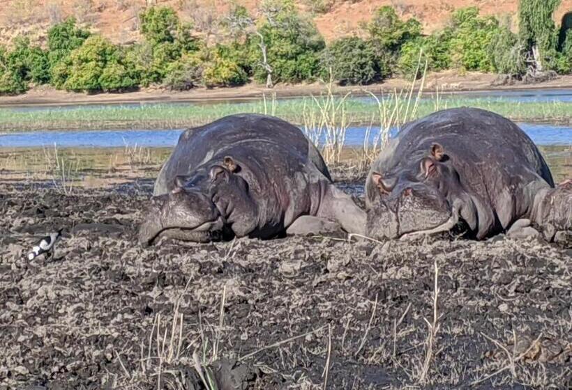 پانسیون Sunbirds Chobe