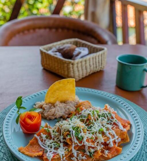 Amaca Beach Hotel   Eco Resort Quiimixto