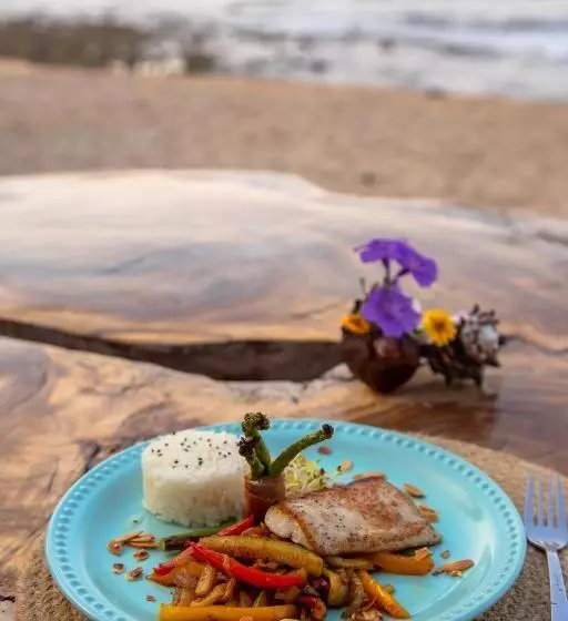 Amaca Beach Hotel   Eco Resort Quiimixto