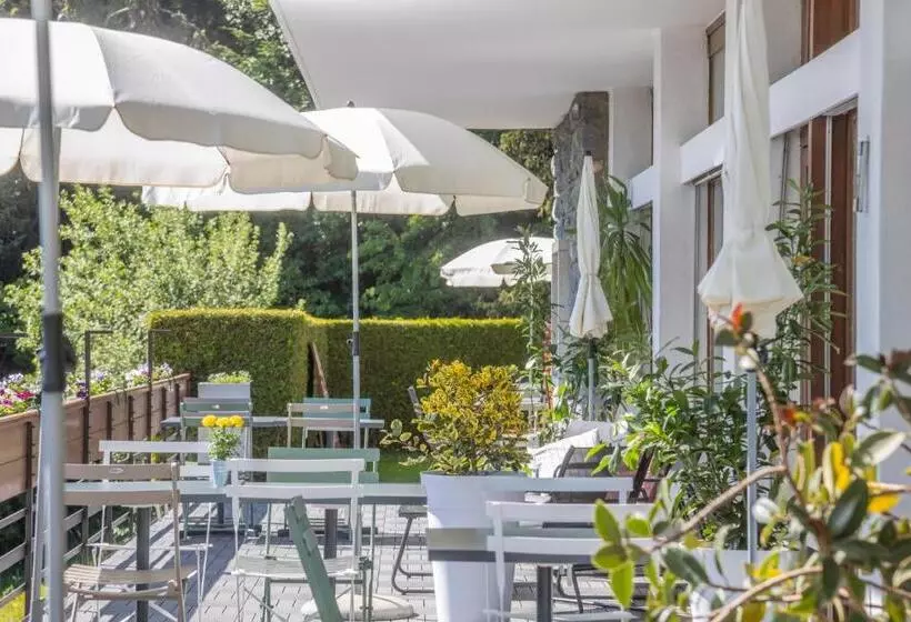 ホテル Hôtel Historique Chez Elsy   Crans Sapins