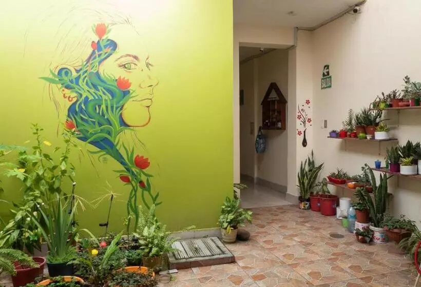Moicca Youth Hostel