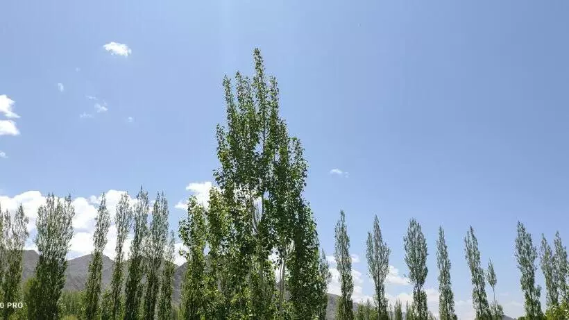 پانسیون Noor Guest House