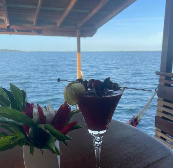 هتل Dolphin Blue Paradise