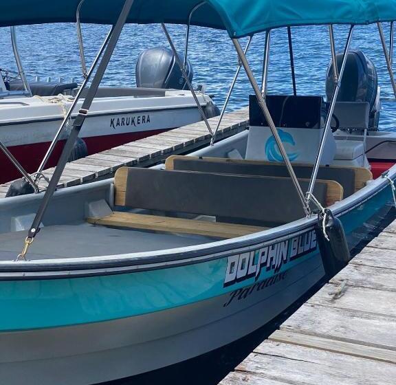 هتل Dolphin Blue Paradise