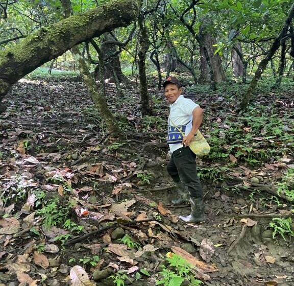 هتل Dolphin Blue Paradise