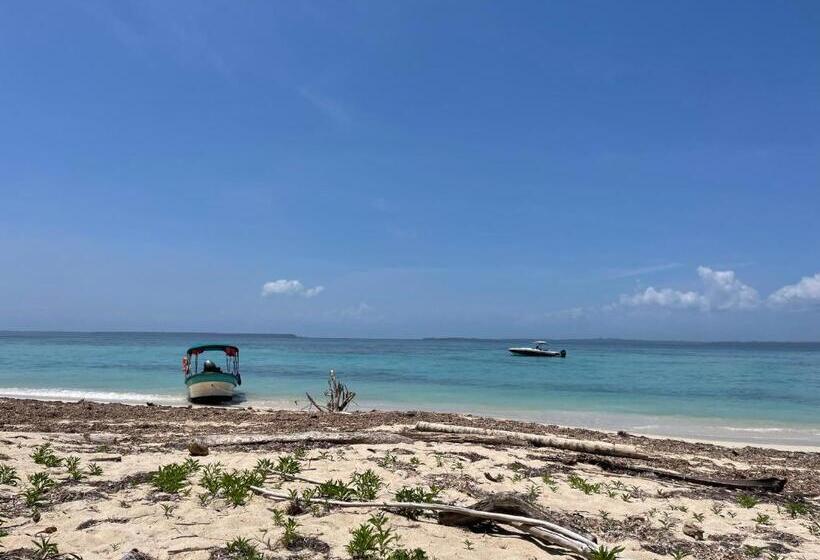 هتل Dolphin Blue Paradise