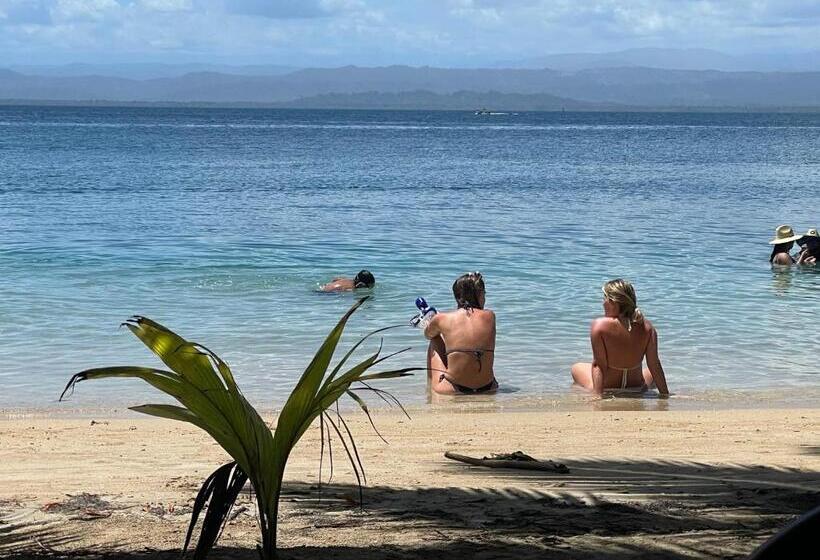 هتل Dolphin Blue Paradise