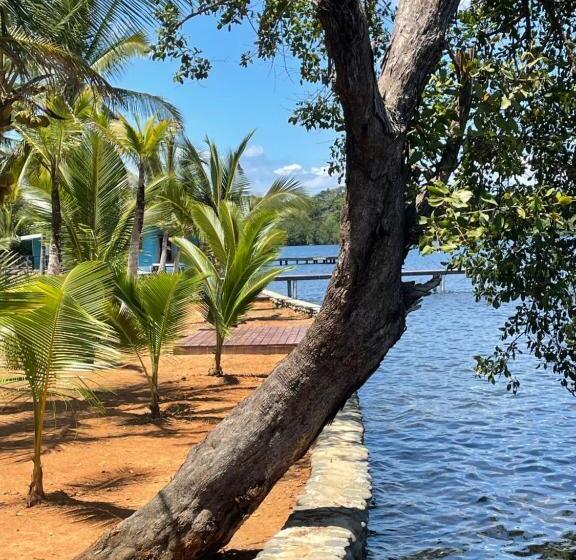 هتل Dolphin Blue Paradise