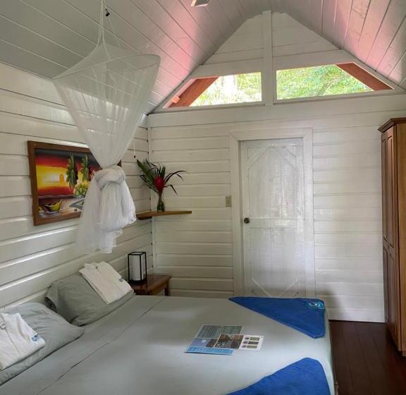 هتل Dolphin Blue Paradise