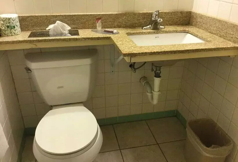 モーテル Falls Inn