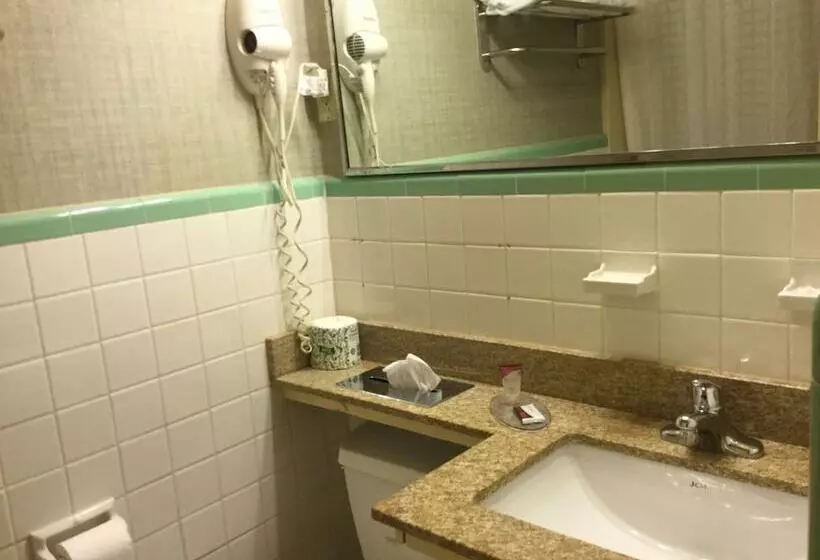 モーテル Falls Inn