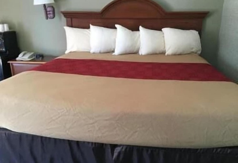 汽车旅馆 Falls Inn