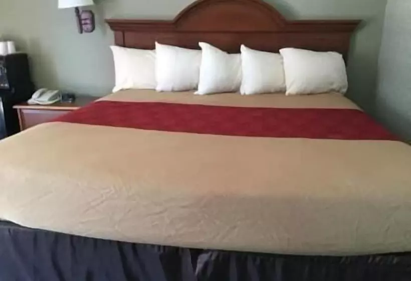 モーテル Falls Inn