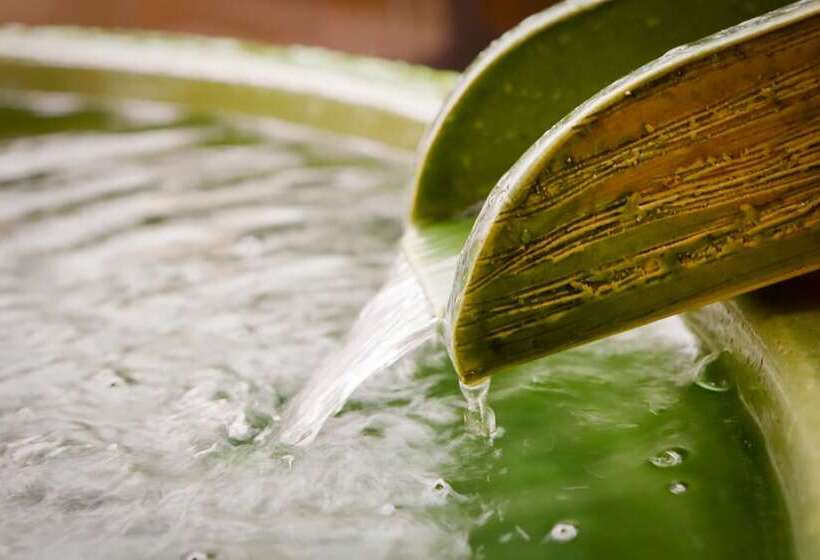 מלון כמוסות Yurakujo