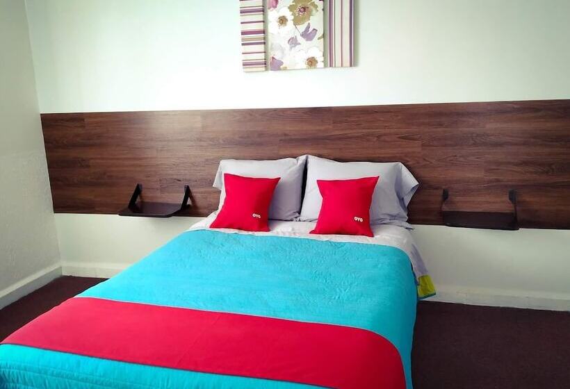 هتل Suites Puebla