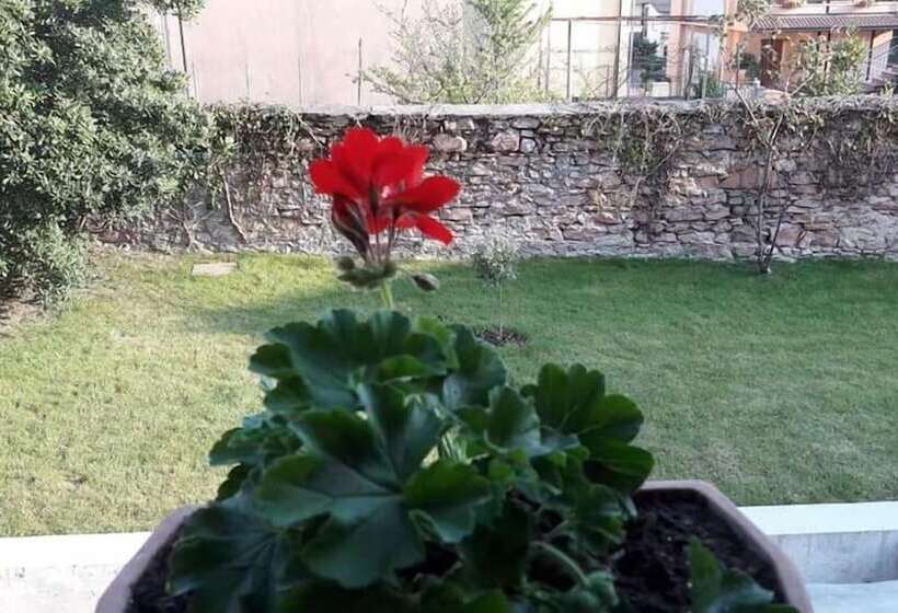 פנסיון Casa Oliva Quero