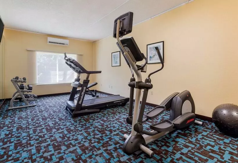 酒店 Comfort Inn & Suites