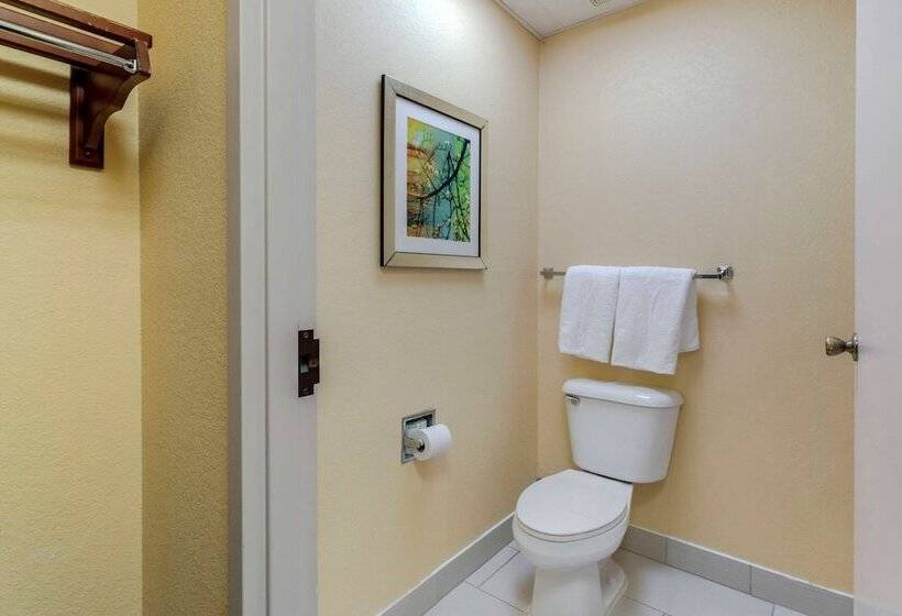 Hotel Comfort Inn & Suites