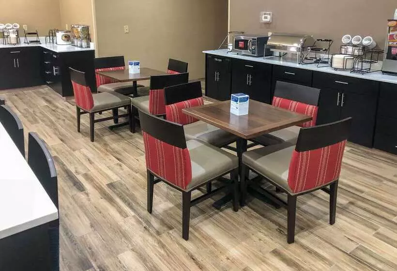 ホテル Comfort Inn Wichita Falls Near University