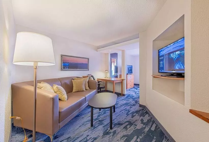 酒店 Fairfield Inn & Suites By Marriott Chicago Naperville