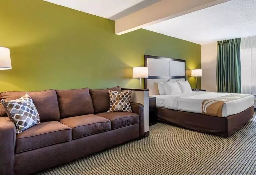 호텔 Quality Inn & Suites