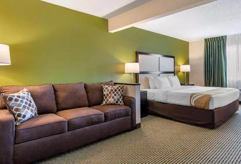 호텔 Quality Inn & Suites