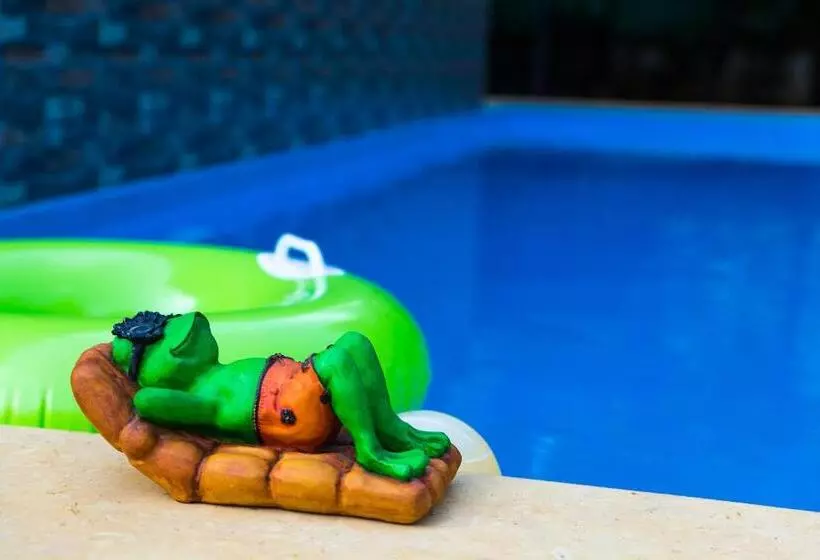 Majatalo Lazy Frog Guest House