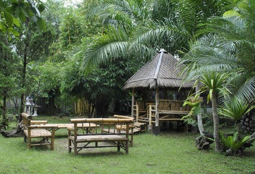 Resort Chiang Dao Hut